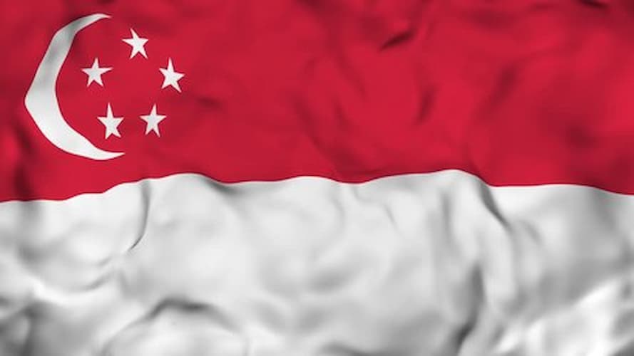 Cờ Singapore là quốc kỳ của đất nước Singapore và là biểu tượng của quốc gia (ảnh: internet).