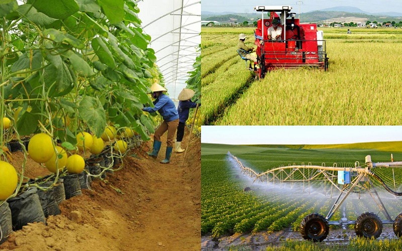 Việc làm nông nghiệp ở Việt Nam hiện nay ngày càng được chú trọng (ảnh: internet). 